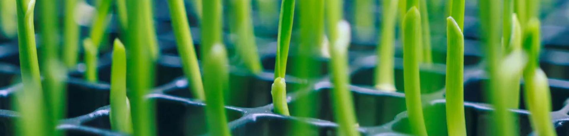 Eco-Friendly Solutions That Grow with You: Advancing Sustainability in the Life Sciences