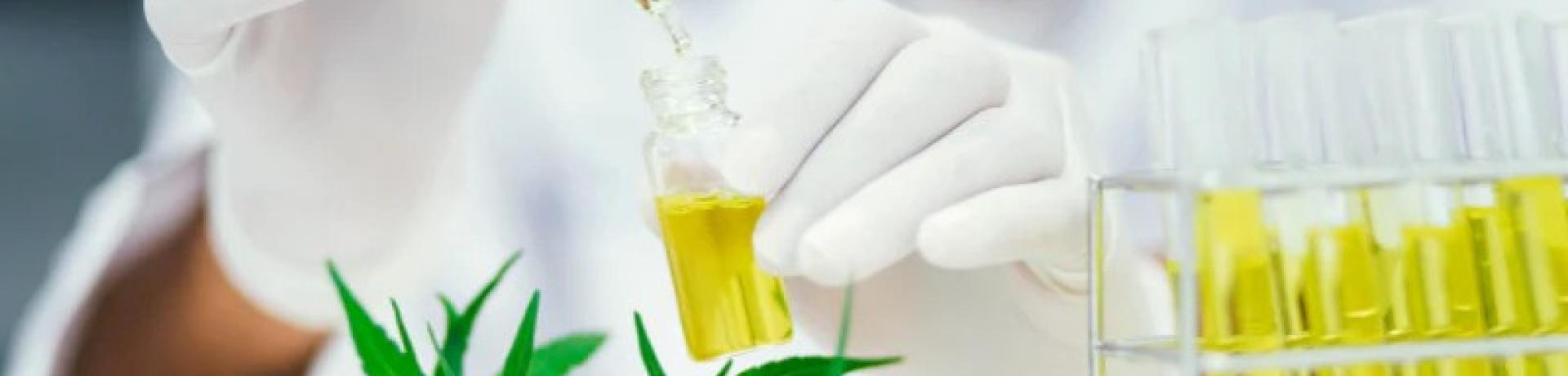 Using Food Grade Ethanol in Extractions, Tinctures and Cleaning