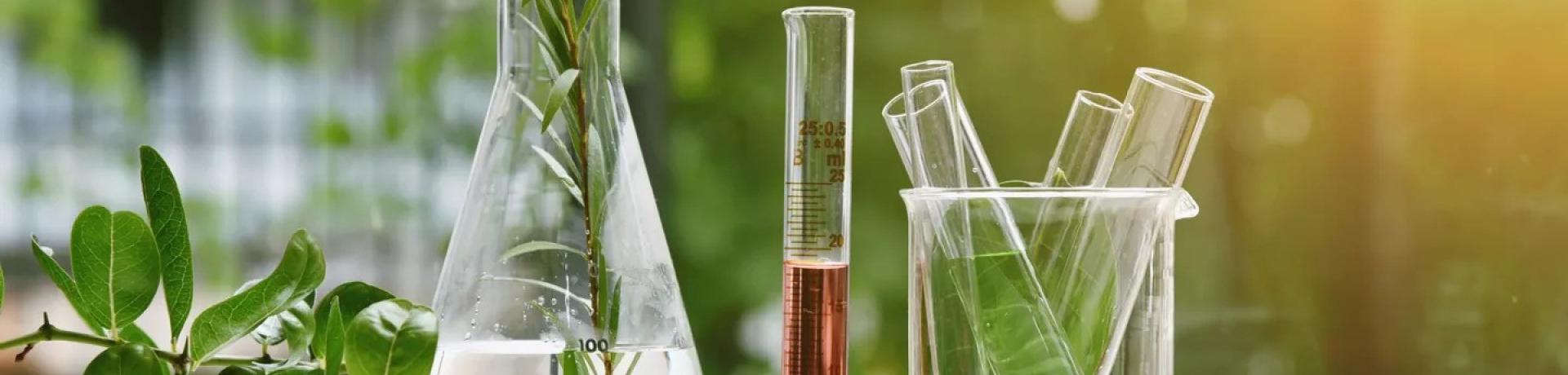 How To Choose Safe Chemicals For Daily Household Use