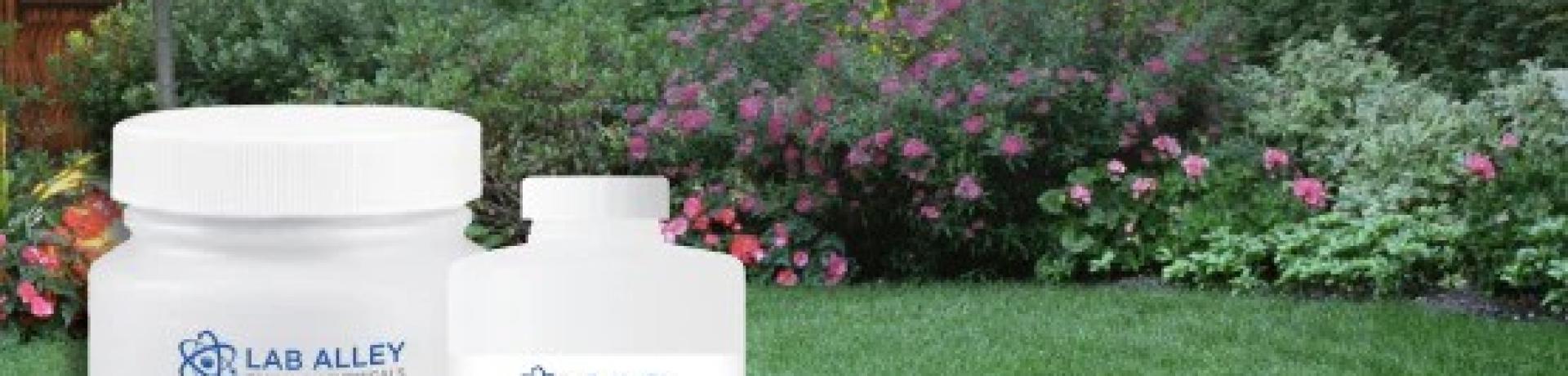 Lawn Envy Unlocked: How Ferrous Sulfate, Hydrogen Peroxide, and Boric Acid Can Transform Your Turf