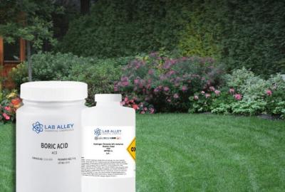 Lawn Envy Unlocked: How Ferrous Sulfate, Hydrogen Peroxide, and Boric Acid Can Transform Your Turf