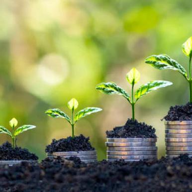 Lab Alley Sees 200% YOY (Year Over Year) Revenue Growth from Organic Ethanol Product Line