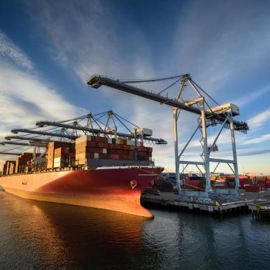 Adapting To Change: Lab Alley's Commitment Amid Tariff Adjustments