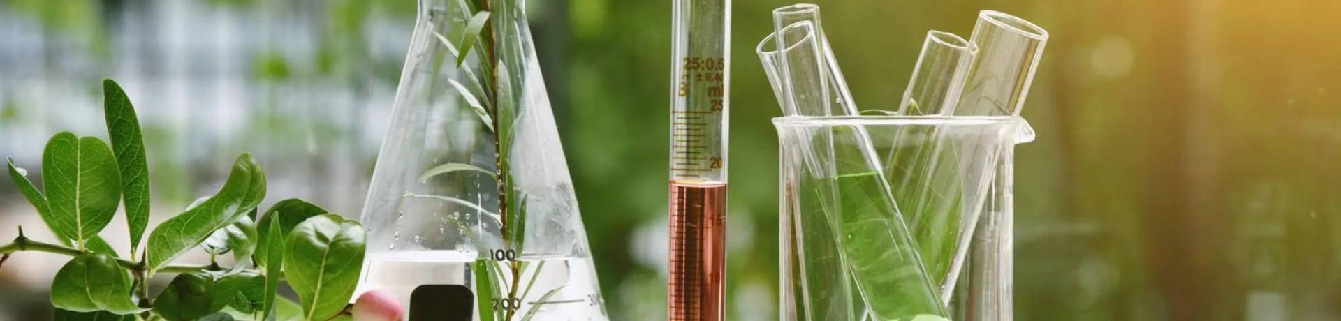 Why is n-heptane a great choice for botanical extraction?