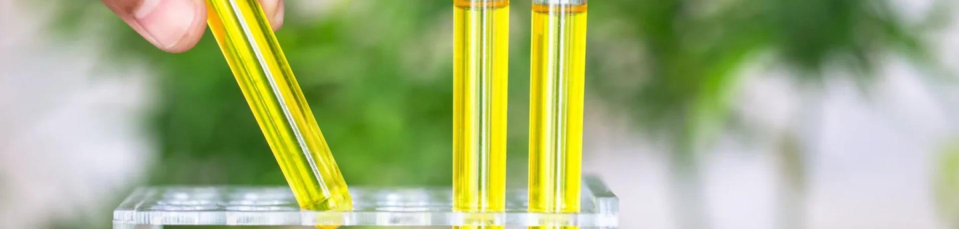 How CBD Extraction Works