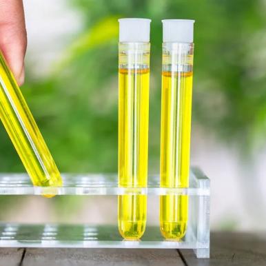 How CBD Extraction Works