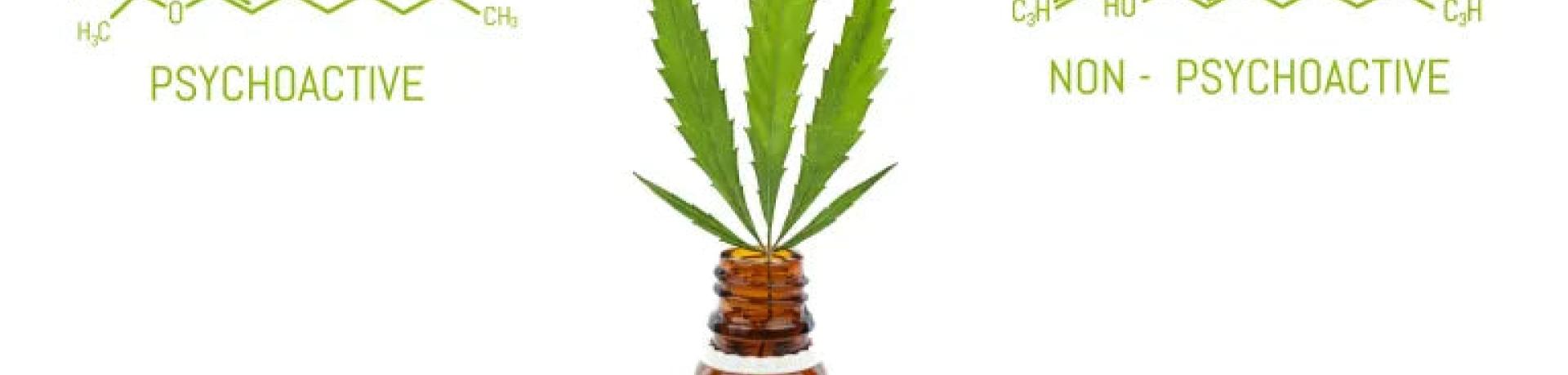 What happens when you take the cannabinoids out of cannabis?