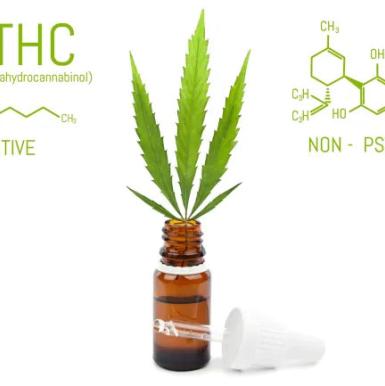 What happens when you take the cannabinoids out of cannabis?