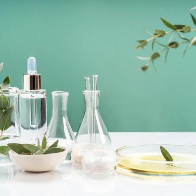 Witch Hazel Overview: Properties, Uses, Safety & Buying Guide