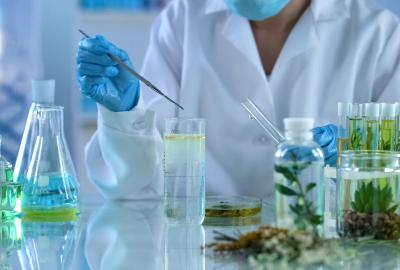 Castor Oil Uses & Applications