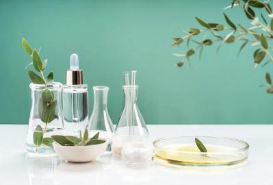 Witch Hazel Overview: Properties, Uses, Safety & Buying Guide