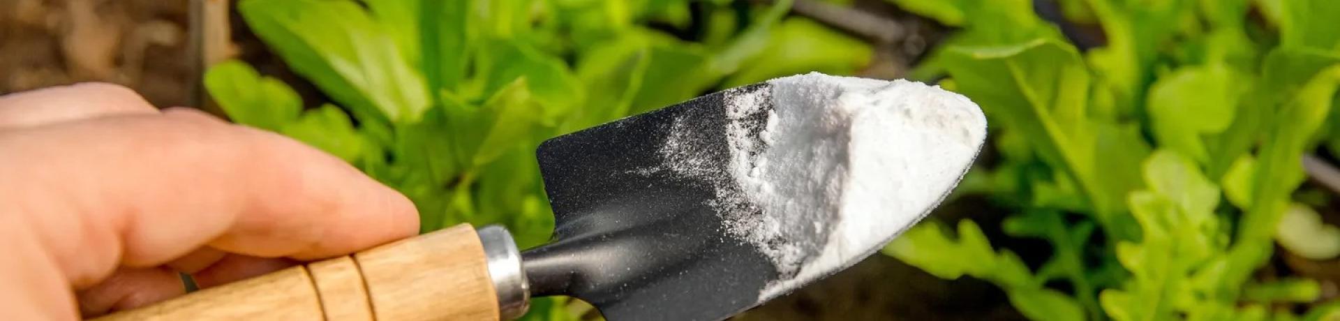 How To Use And Buy Food Grade Calcium Carbonate Powder