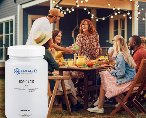 Bye-Bye Bugs, Hello Summer! How Boric Acid Keeps Your BBQs Bug-Free